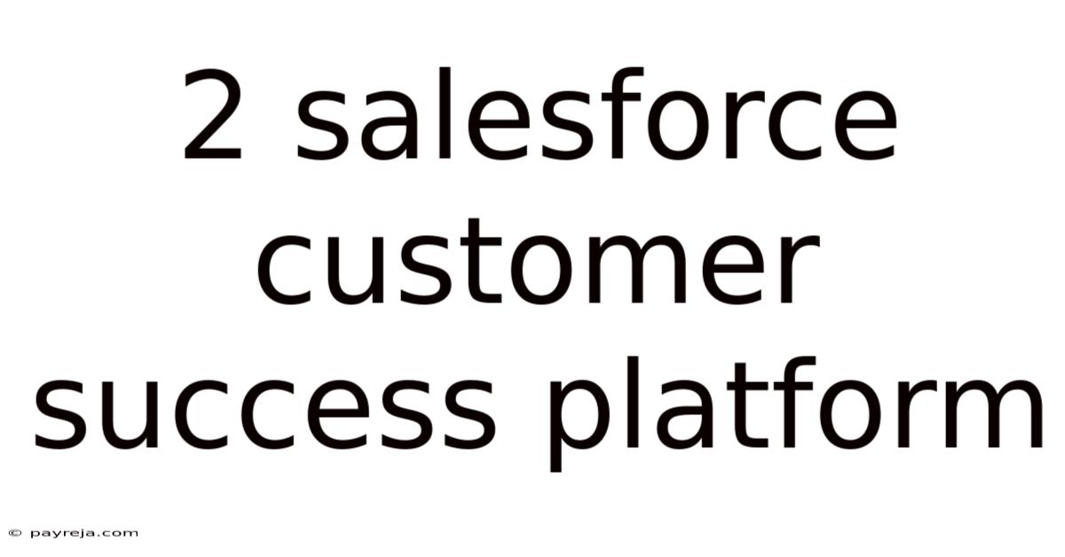 2 Salesforce Customer Success Platform 2 Salesforce Customer Success Platform