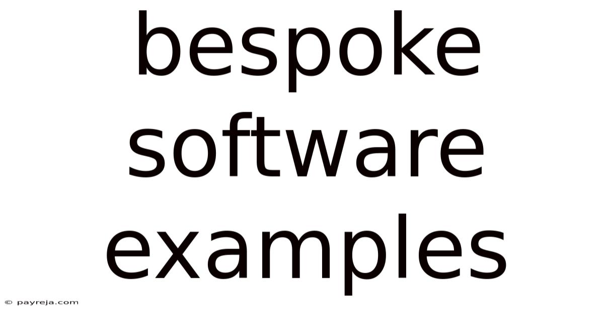 Bespoke Software Examples