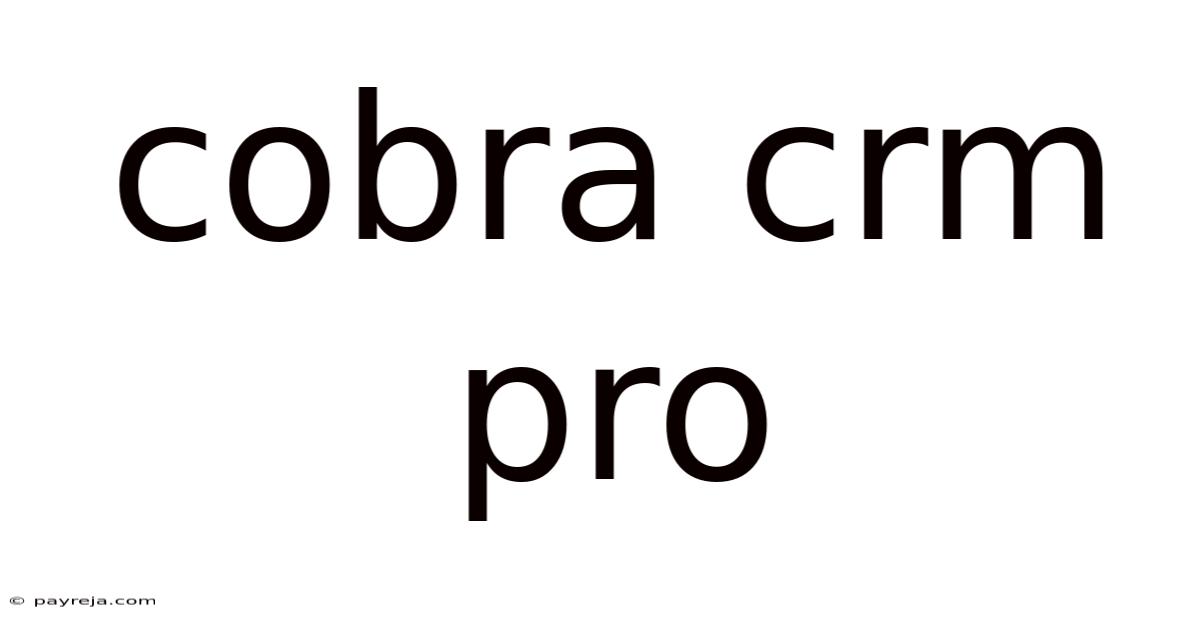 Cobra Crm Pro