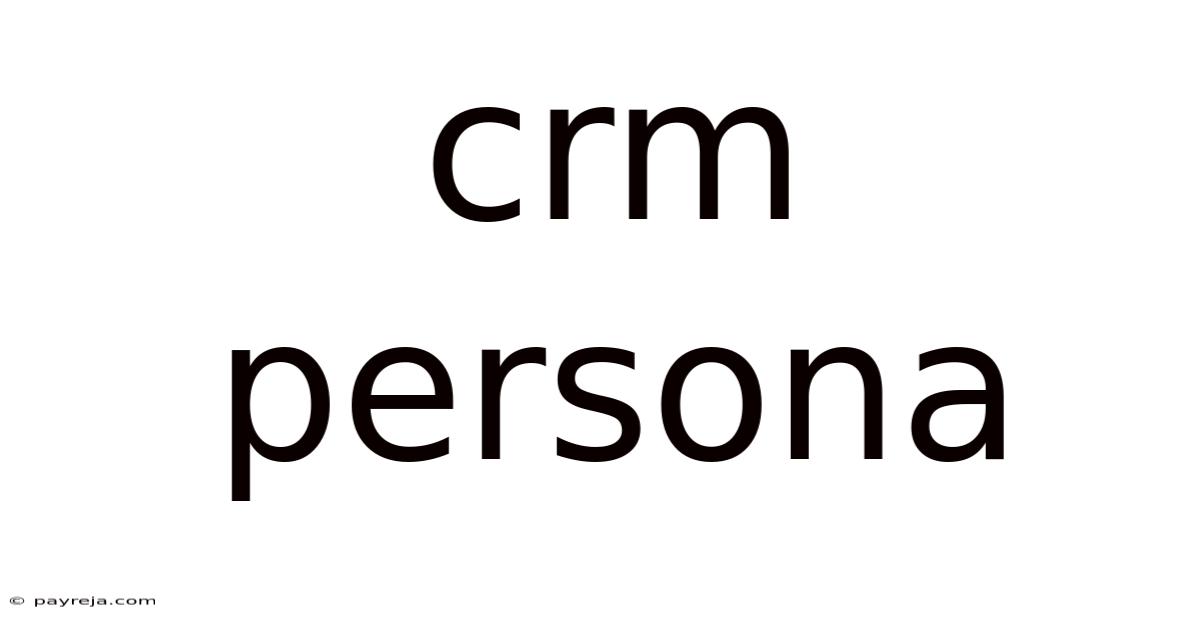 Crm Persona Crm Persona