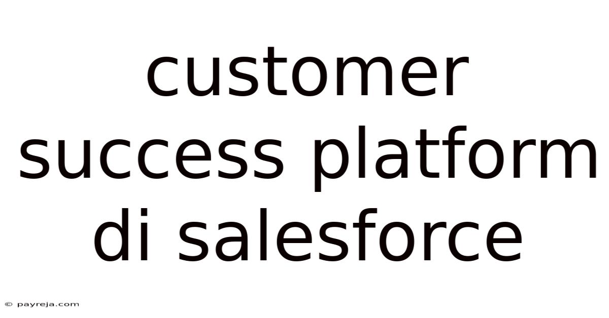 Customer Success Platform Di Salesforce Customer Success Platform Di Salesforce