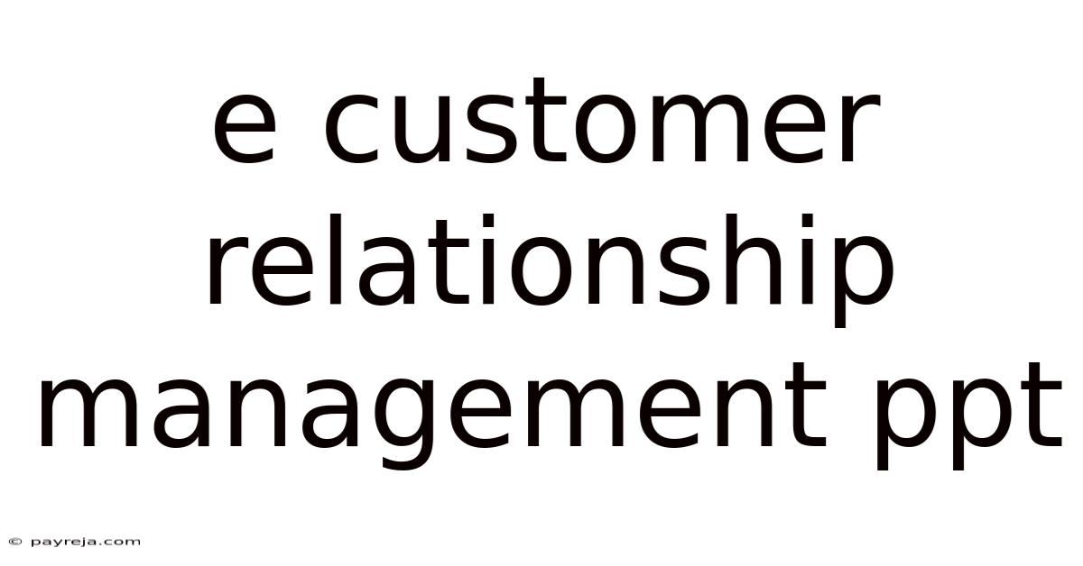 E Customer Relationship Management Ppt E Customer Relationship Management Ppt