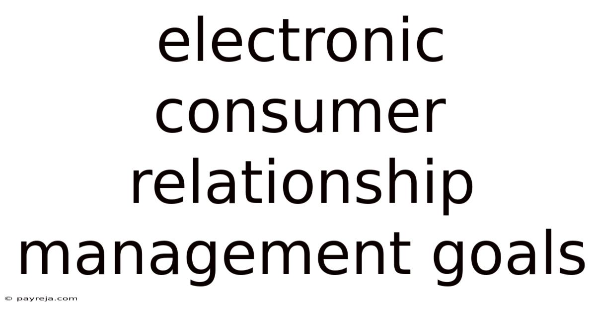 Electronic Consumer Relationship Management Goals Electronic Consumer Relationship Management Goals