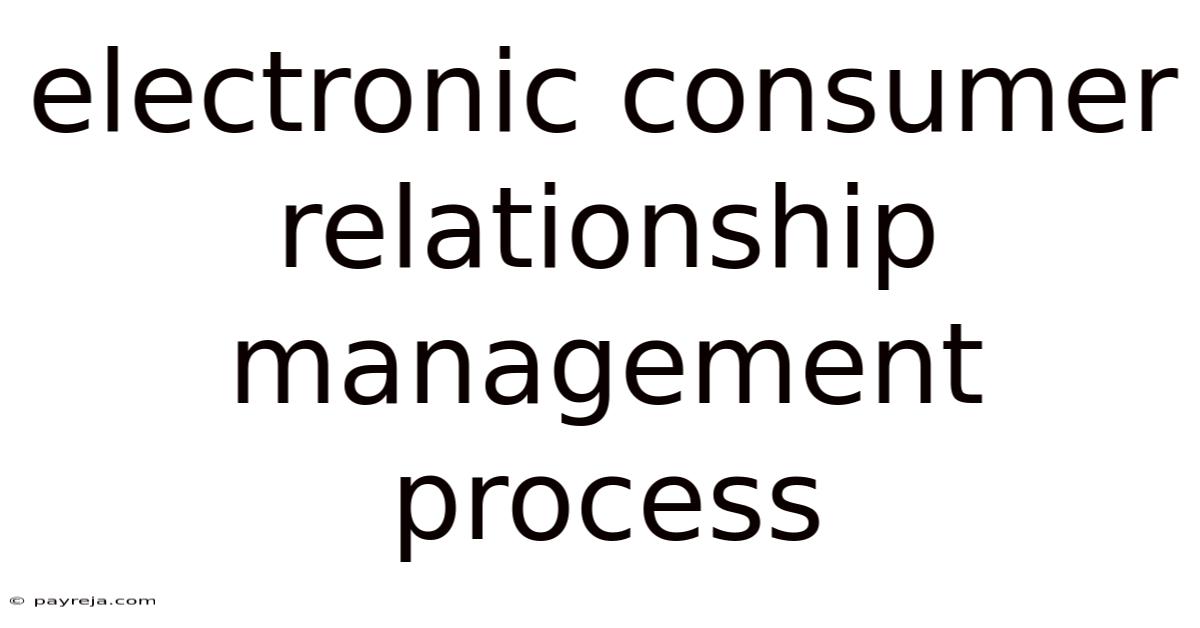 Electronic Consumer Relationship Management Process Electronic Consumer Relationship Management Process