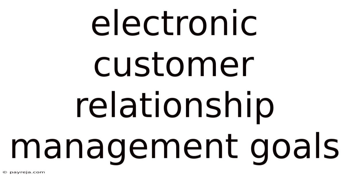 Electronic Customer Relationship Management Goals Electronic Customer Relationship Management Goals