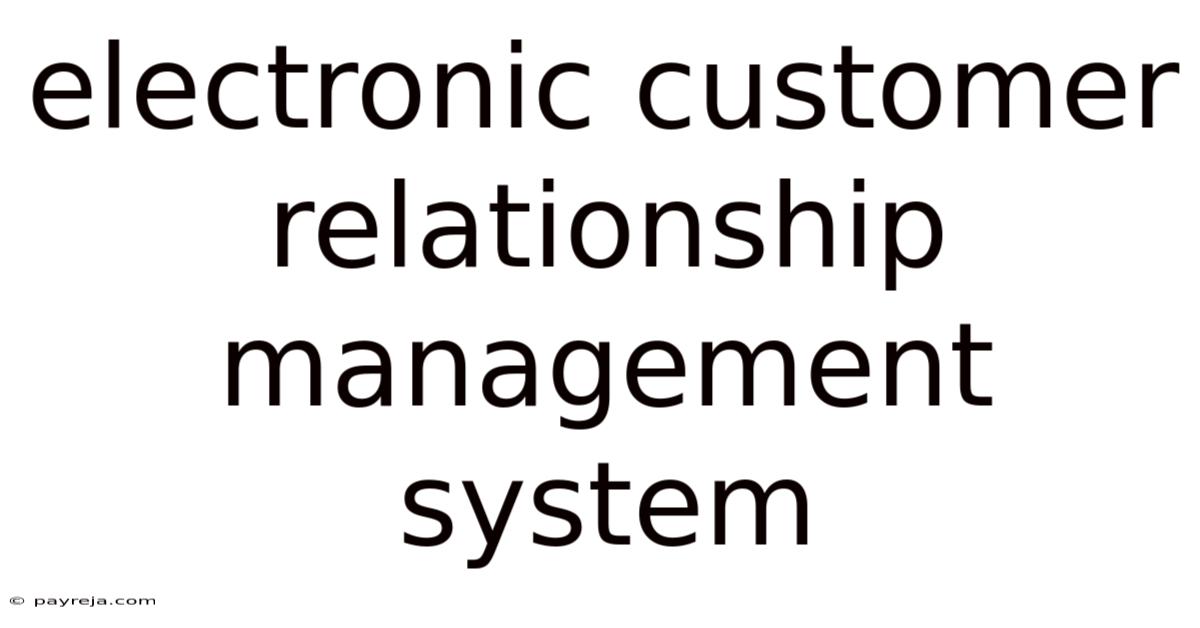 Electronic Customer Relationship Management System Electronic Customer Relationship Management System