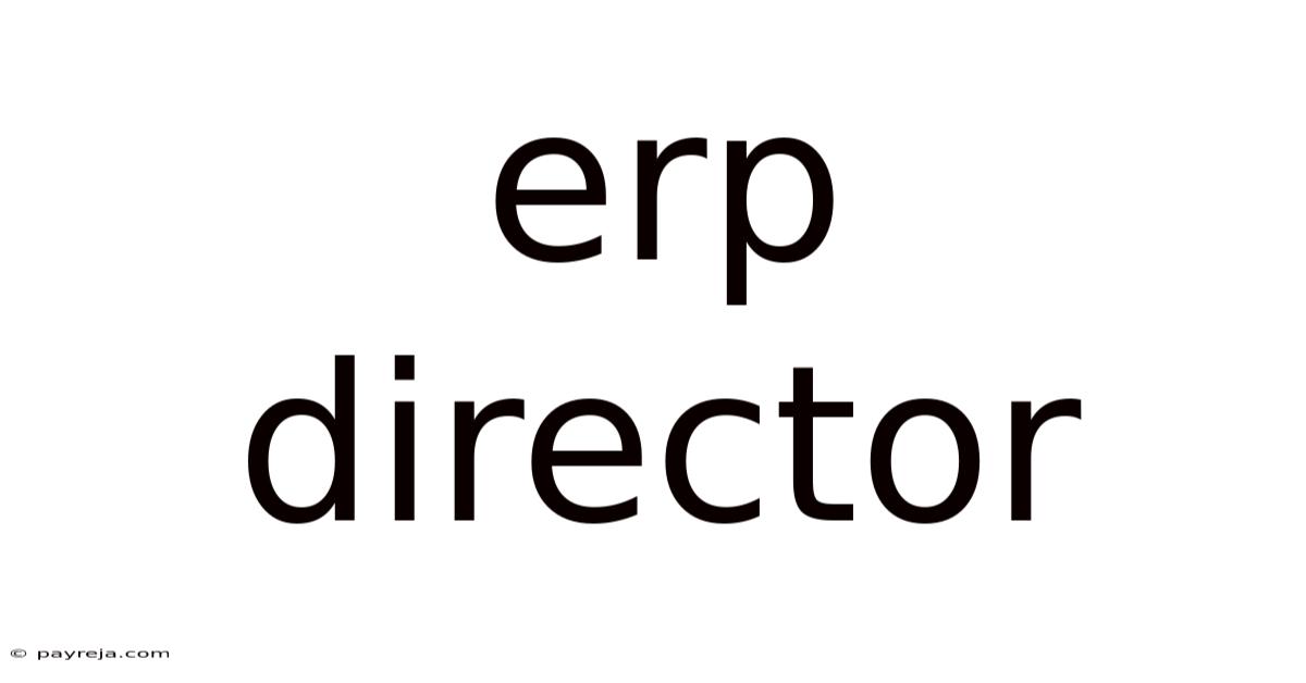 Erp Director
