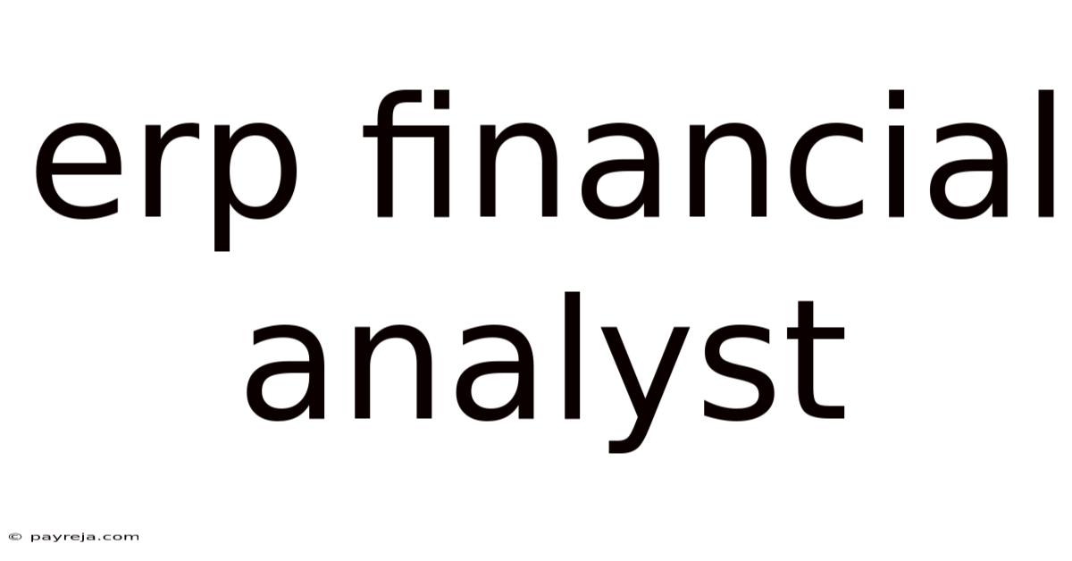Erp Financial Analyst Erp Financial Analyst