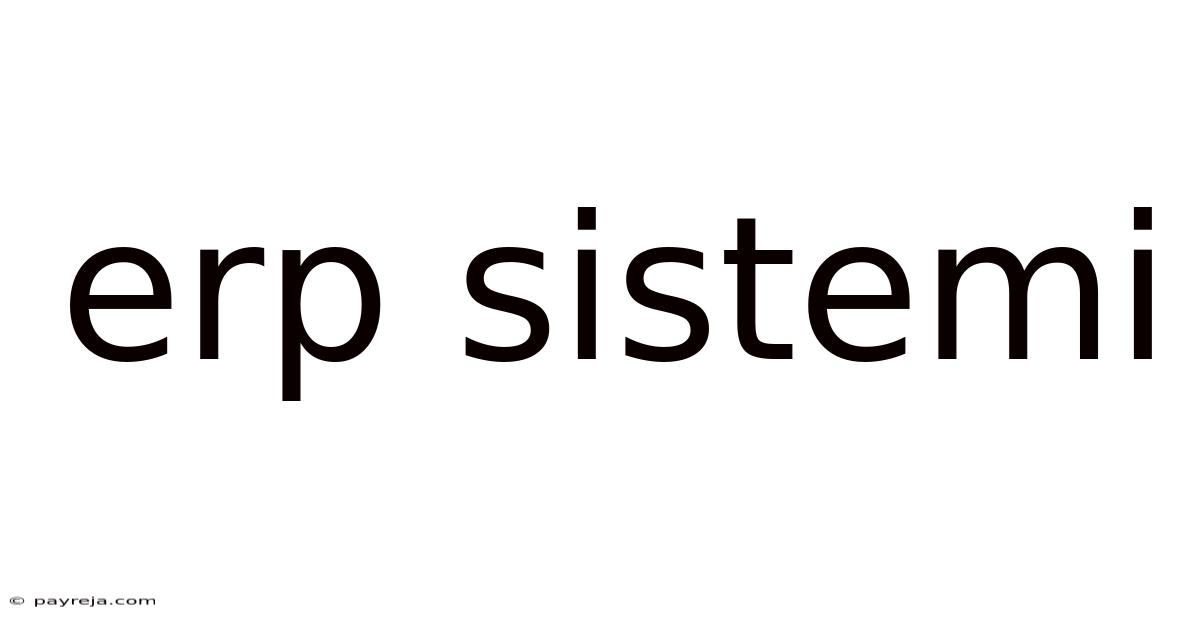 Erp Sistemi Erp Sistemi