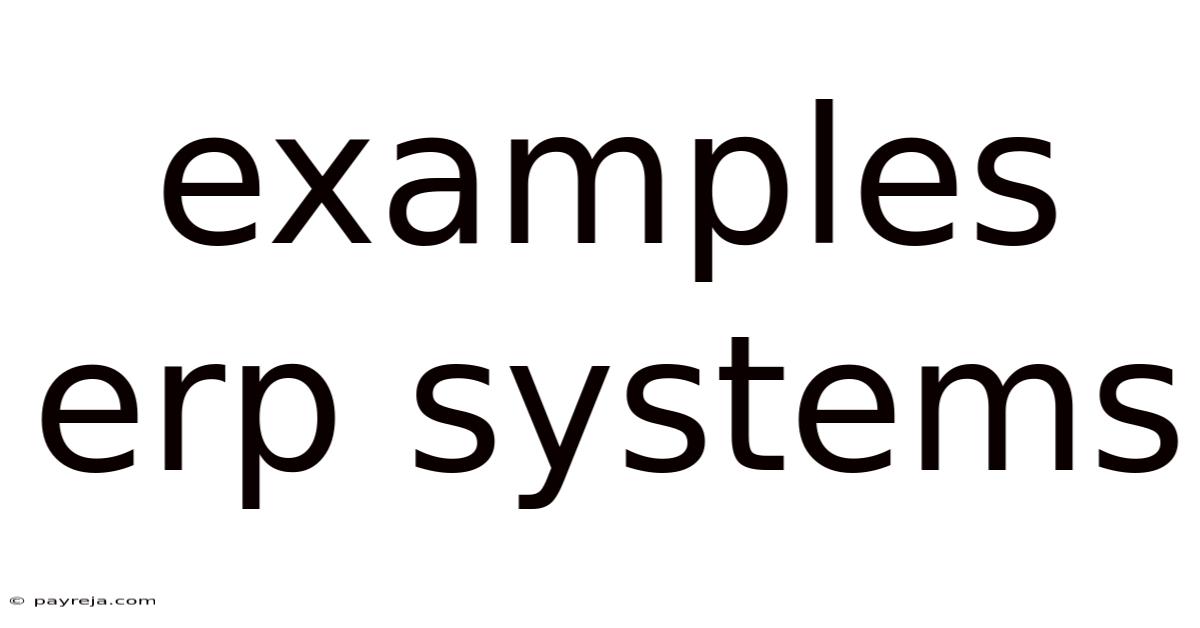 Examples Erp Systems Examples Erp Systems
