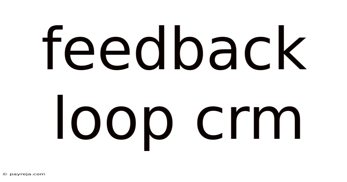 Feedback Loop Crm Feedback Loop Crm