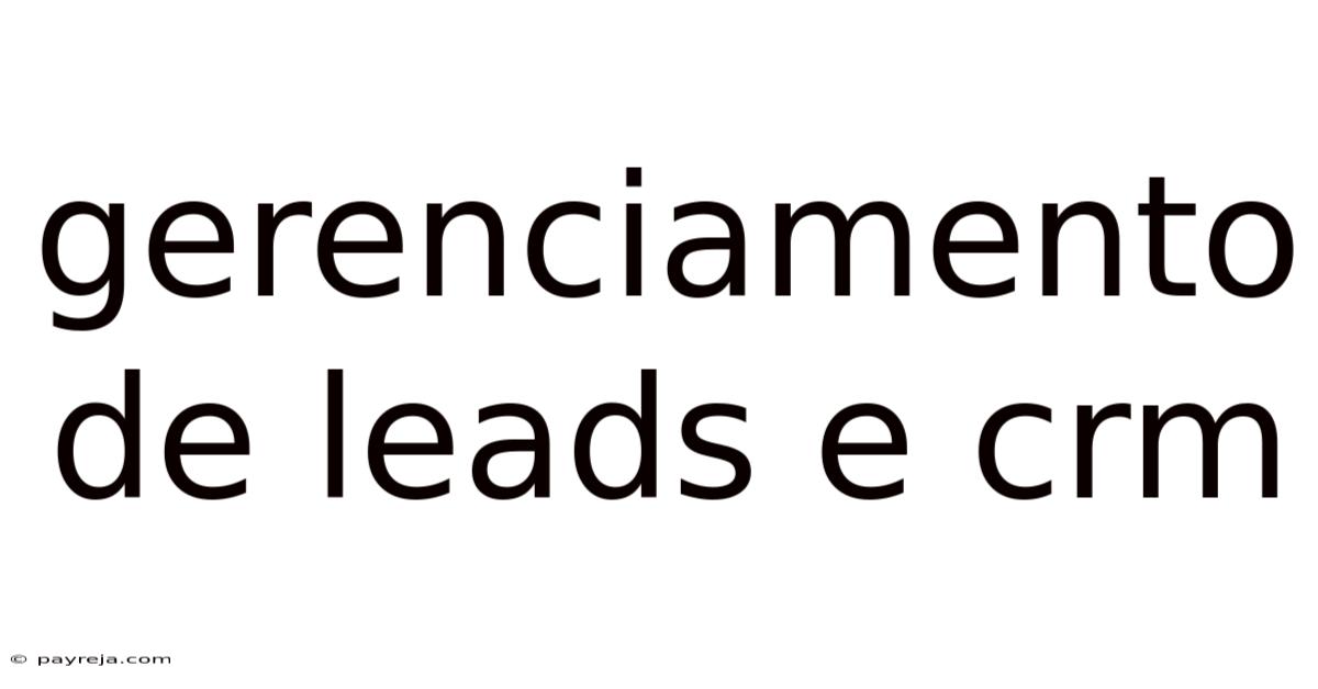 Gerenciamento De Leads E Crm Gerenciamento De Leads E Crm