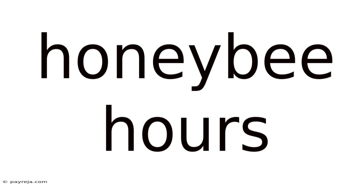 Honeybee Hours Honeybee Hours