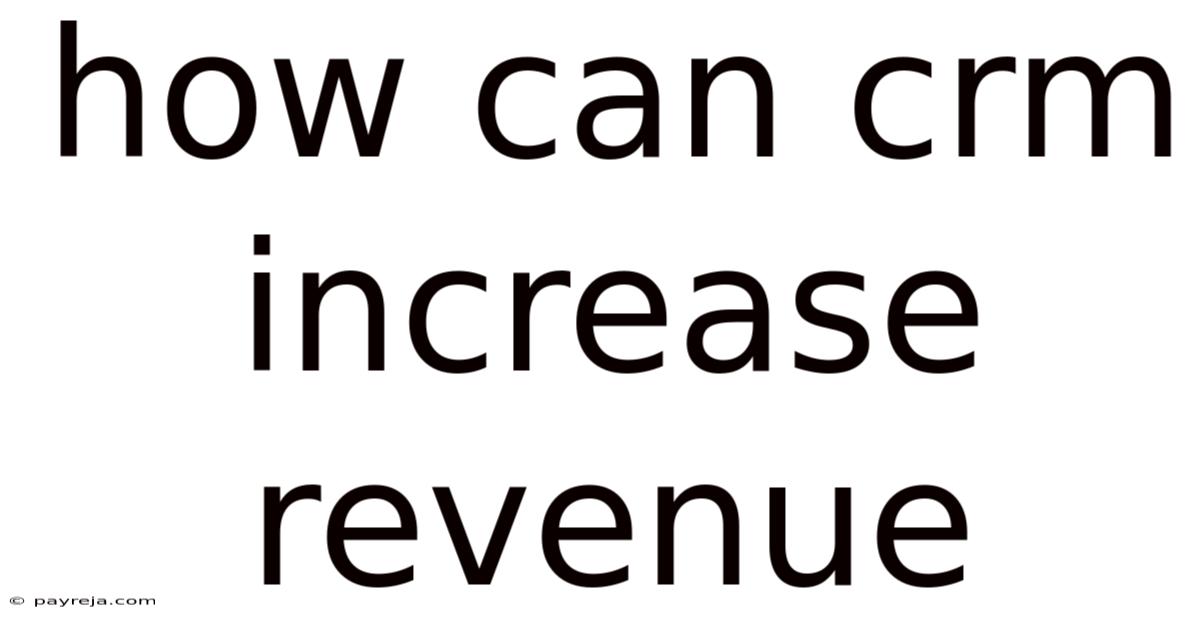 How Can Crm Increase Revenue How Can Crm Increase Revenue