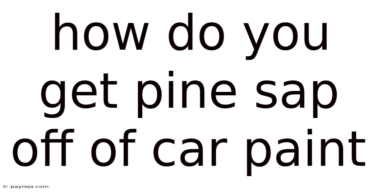 How Do You Get Pine Sap Off Of Car Paint How Do You Get Pine Sap Off Of Car Paint