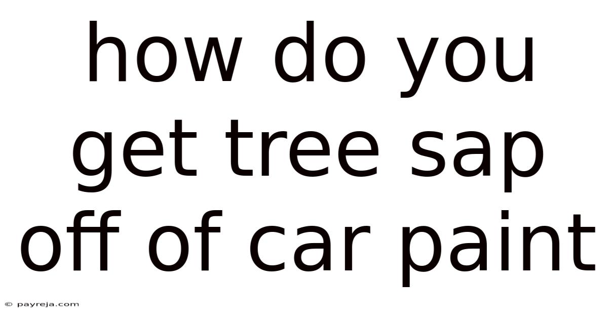 How Do You Get Tree Sap Off Of Car Paint How Do You Get Tree Sap Off Of Car Paint
