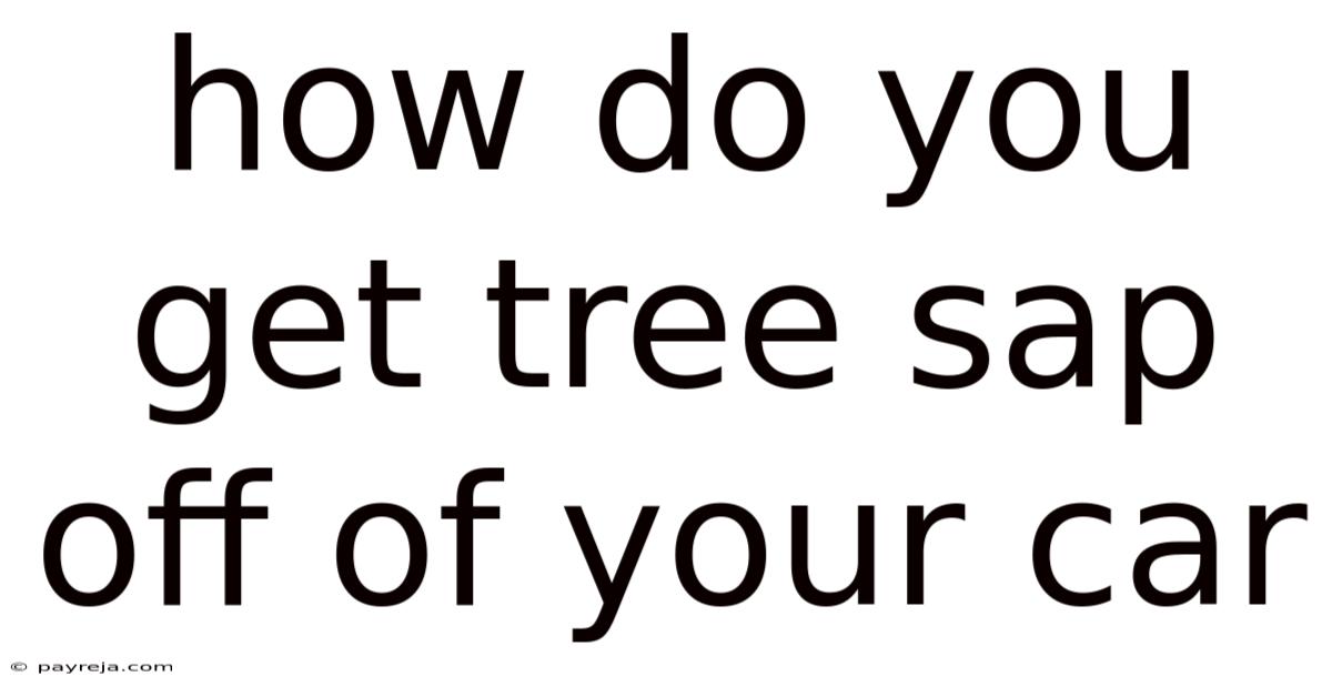 How Do You Get Tree Sap Off Of Your Car How Do You Get Tree Sap Off Of Your Car