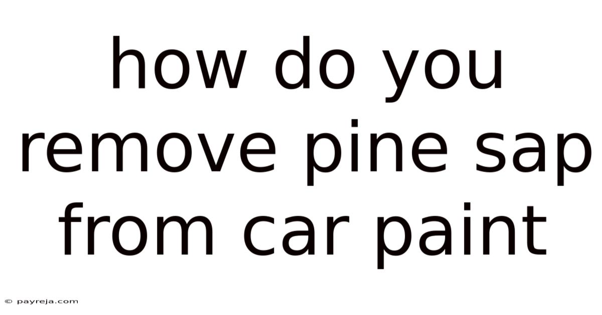 How Do You Remove Pine Sap From Car Paint