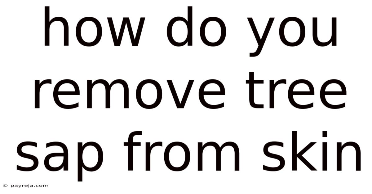 How Do You Remove Tree Sap From Skin How Do You Remove Tree Sap From Skin