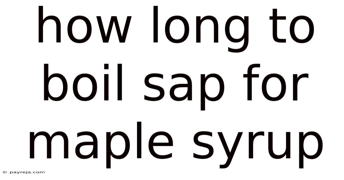 How Long To Boil Sap For Maple Syrup How Long To Boil Sap For Maple Syrup