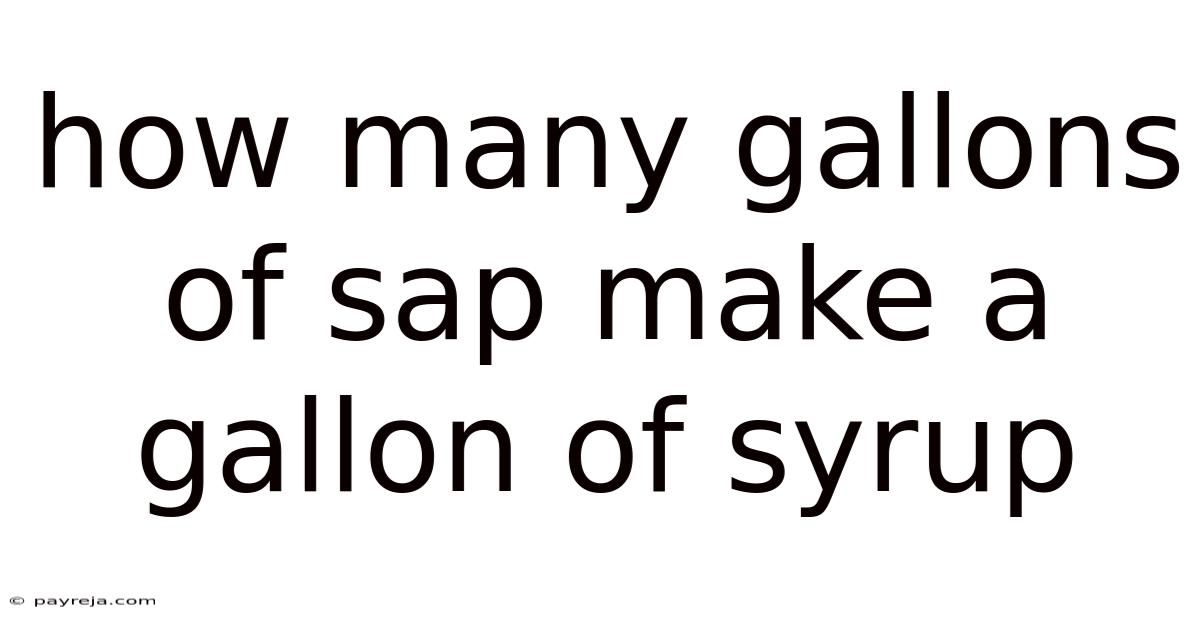 How Many Gallons Of Sap Make A Gallon Of Syrup How Many Gallons Of Sap Make A Gallon Of Syrup