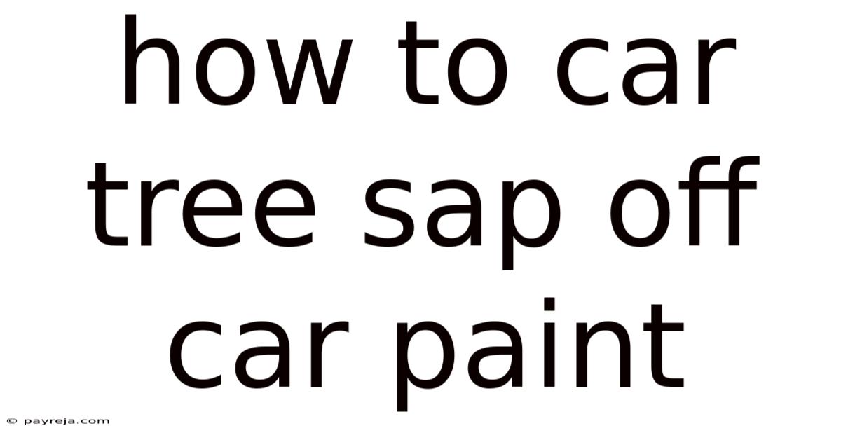 How To Car Tree Sap Off Car Paint