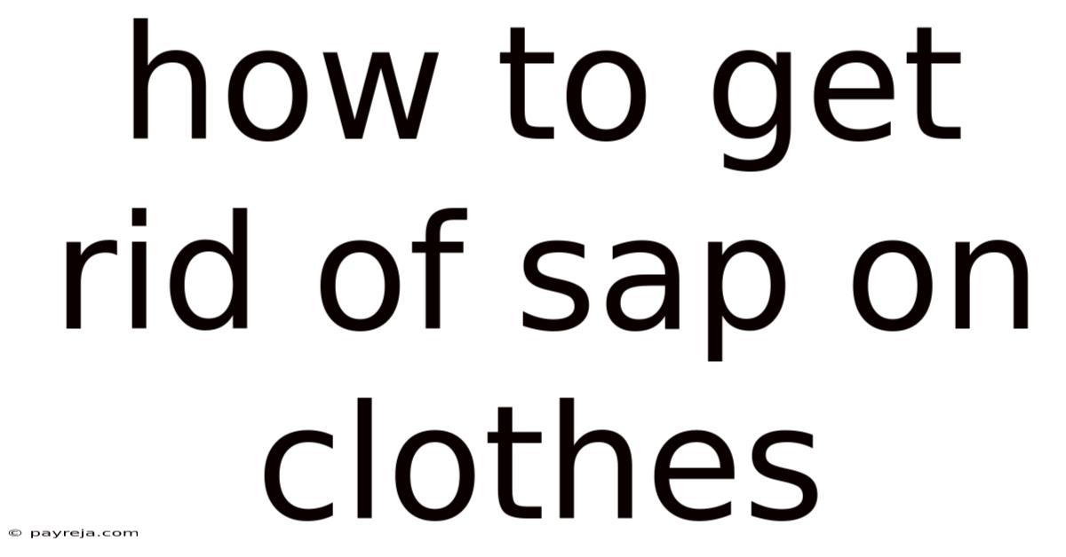 How To Get Rid Of Sap On Clothes
