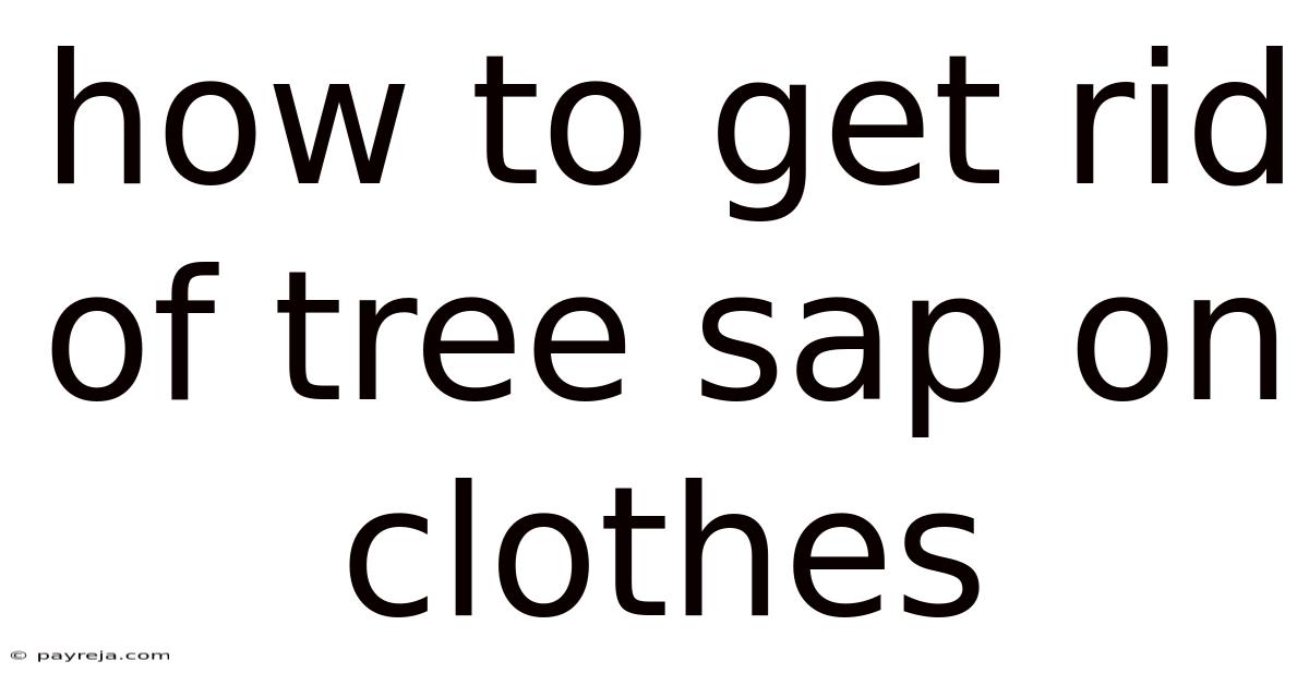 How To Get Rid Of Tree Sap On Clothes