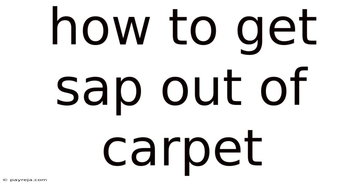 How To Get Sap Out Of Carpet How To Get Sap Out Of Carpet