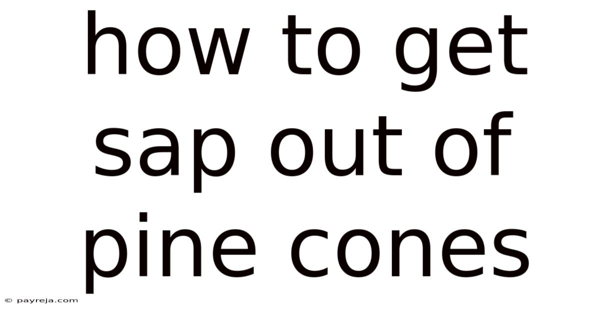 How To Get Sap Out Of Pine Cones