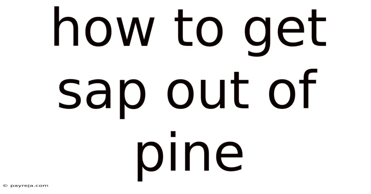 How To Get Sap Out Of Pine How To Get Sap Out Of Pine