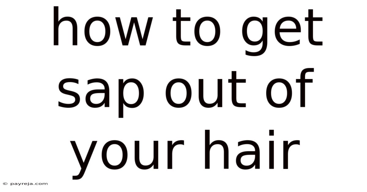 How To Get Sap Out Of Your Hair How To Get Sap Out Of Your Hair