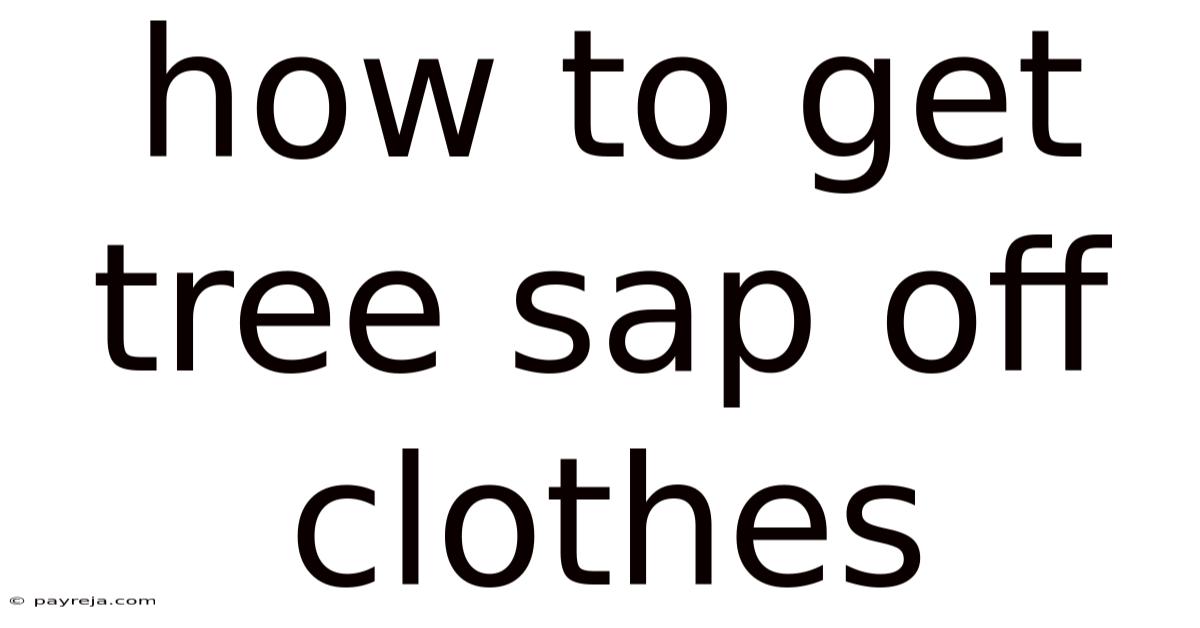 How To Get Tree Sap Off Clothes How To Get Tree Sap Off Clothes