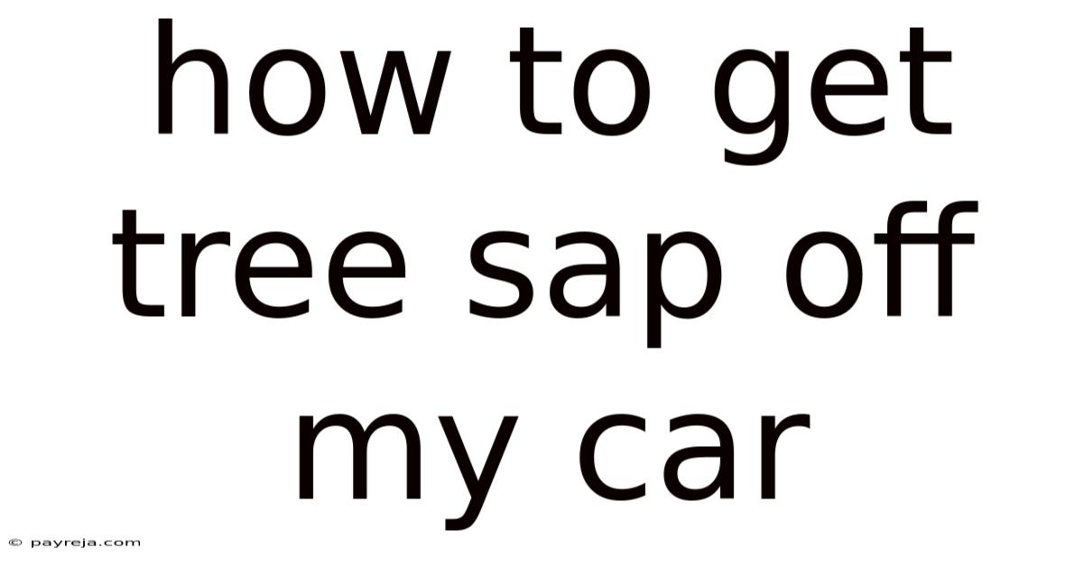 How To Get Tree Sap Off My Car How To Get Tree Sap Off My Car