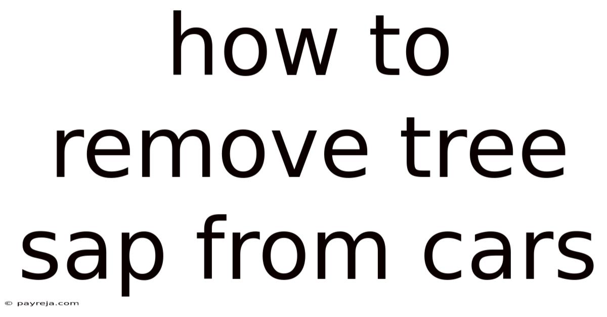 How To Remove Tree Sap From Cars How To Remove Tree Sap From Cars