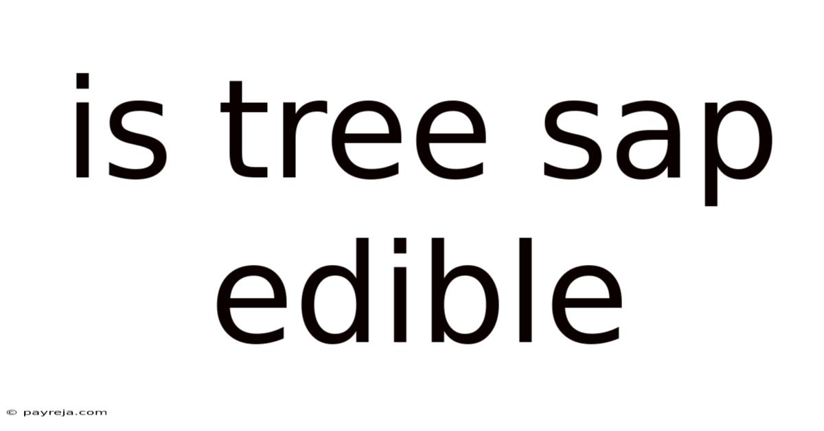Is Tree Sap Edible