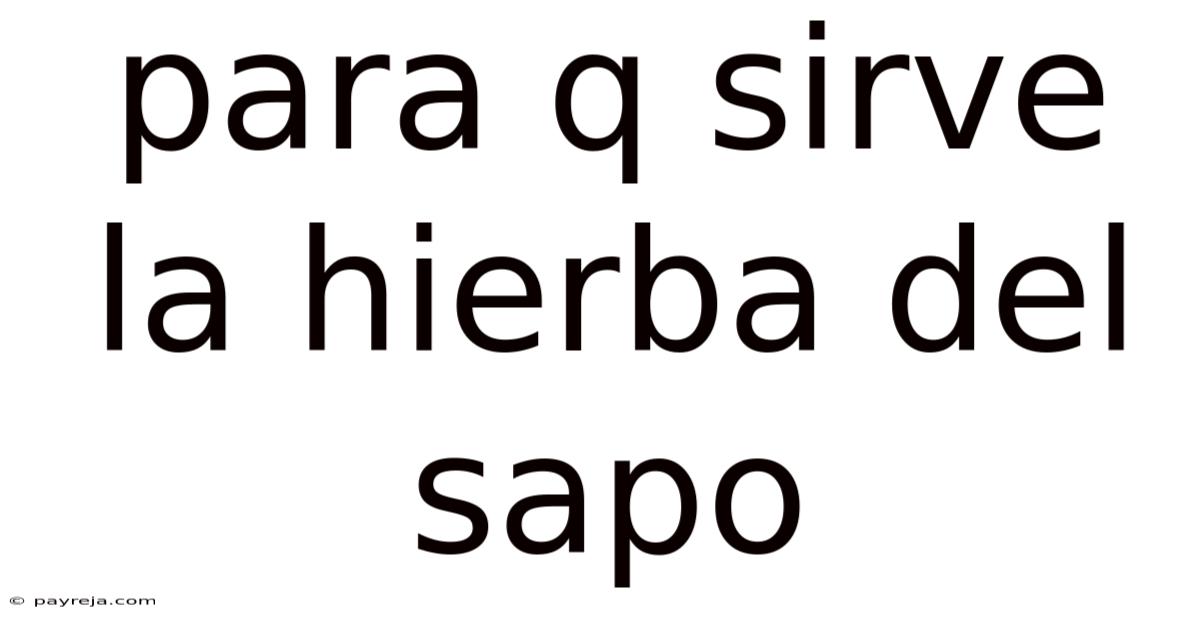 Para Q Sirve La Hierba Del Sapo