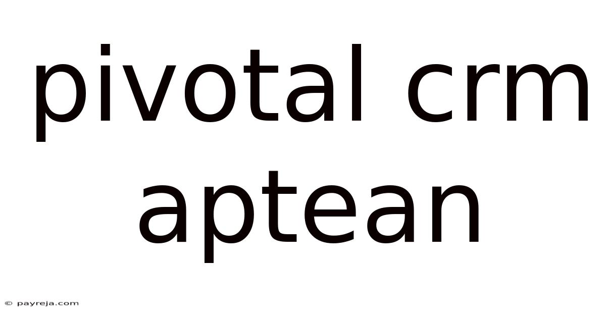 Pivotal Crm Aptean Pivotal Crm Aptean