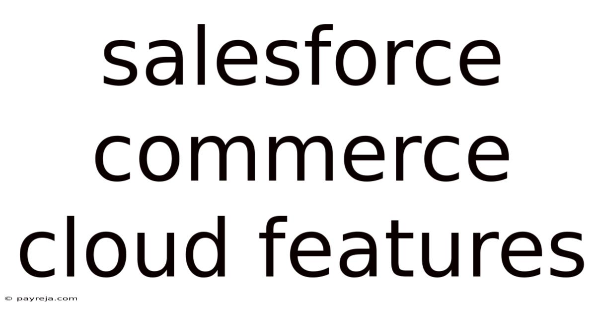 Salesforce Commerce Cloud Features Salesforce Commerce Cloud Features