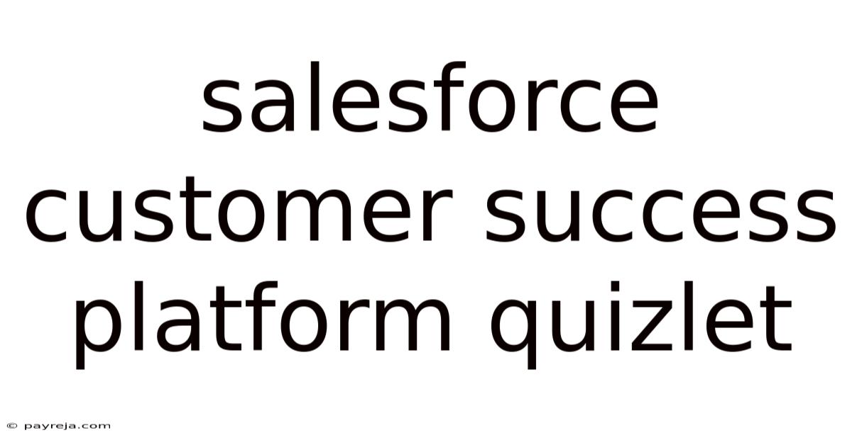 Salesforce Customer Success Platform Quizlet Salesforce Customer Success Platform Quizlet