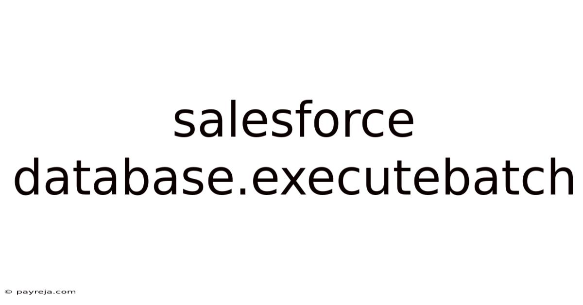 Salesforce Database.executebatch Salesforce Database.executebatch
