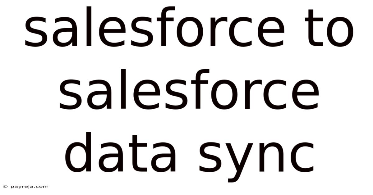 Salesforce To Salesforce Data Sync Salesforce To Salesforce Data Sync