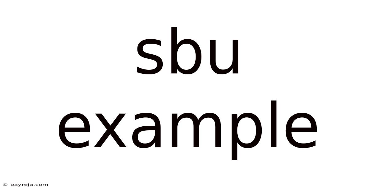 Sbu Example