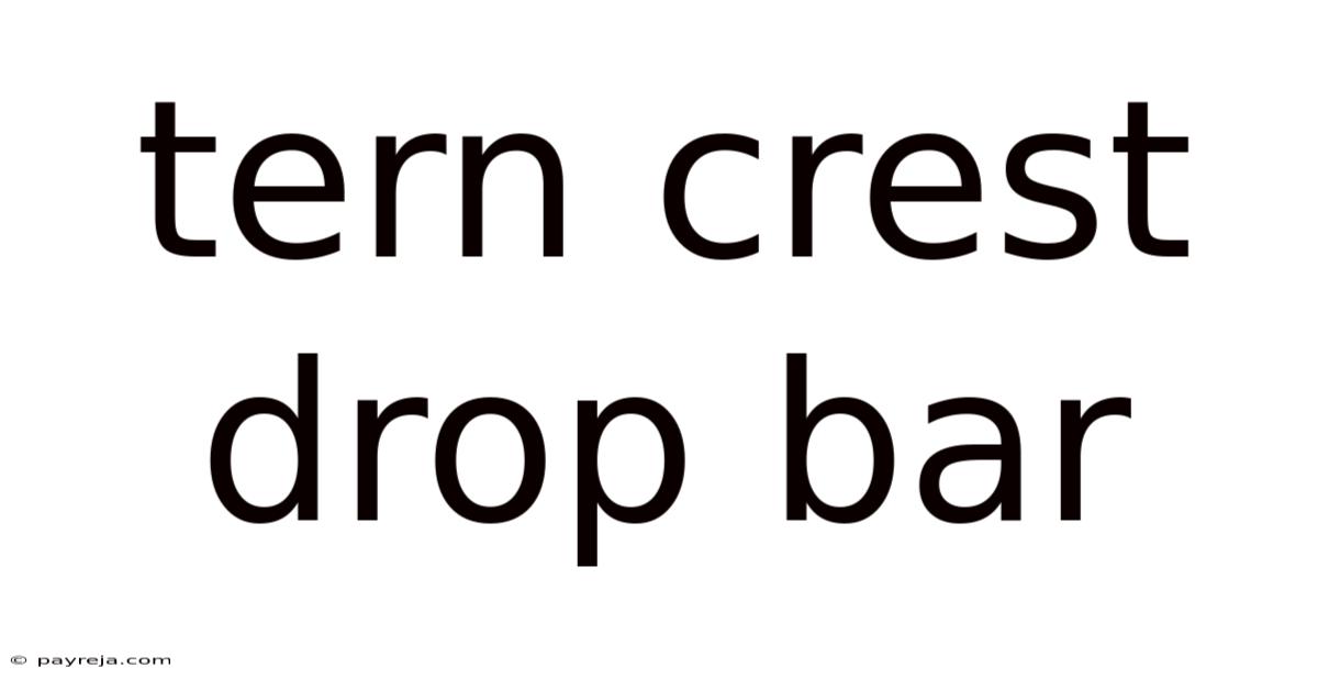 Tern Crest Drop Bar Tern Crest Drop Bar