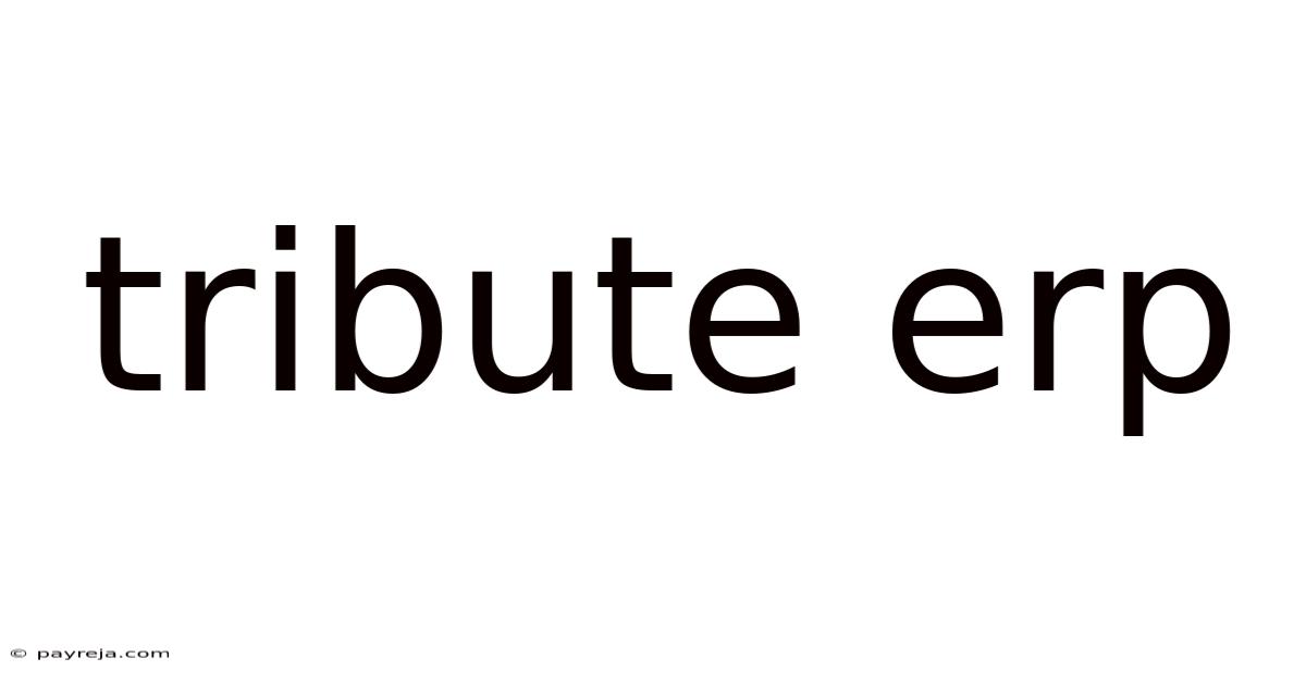 Tribute Erp Tribute Erp