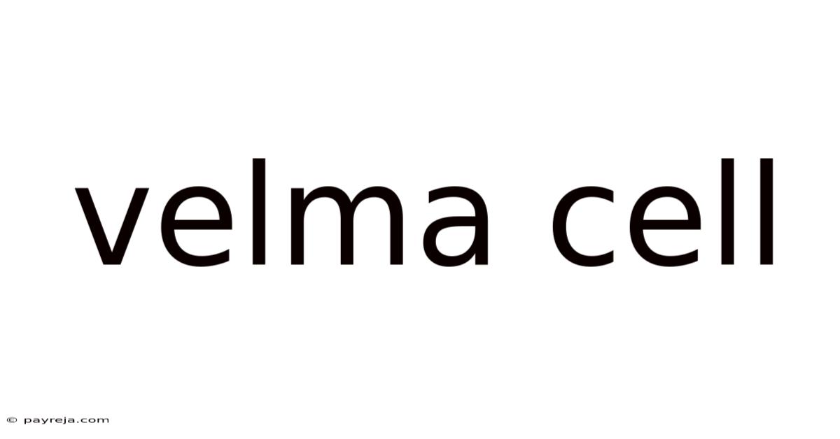 Velma Cell Velma Cell