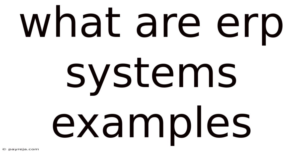 What Are Erp Systems Examples