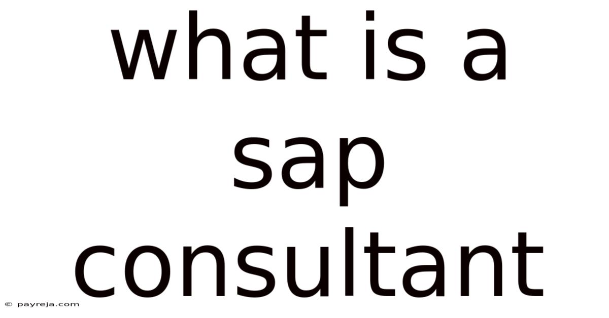 What Is A Sap Consultant What Is A Sap Consultant