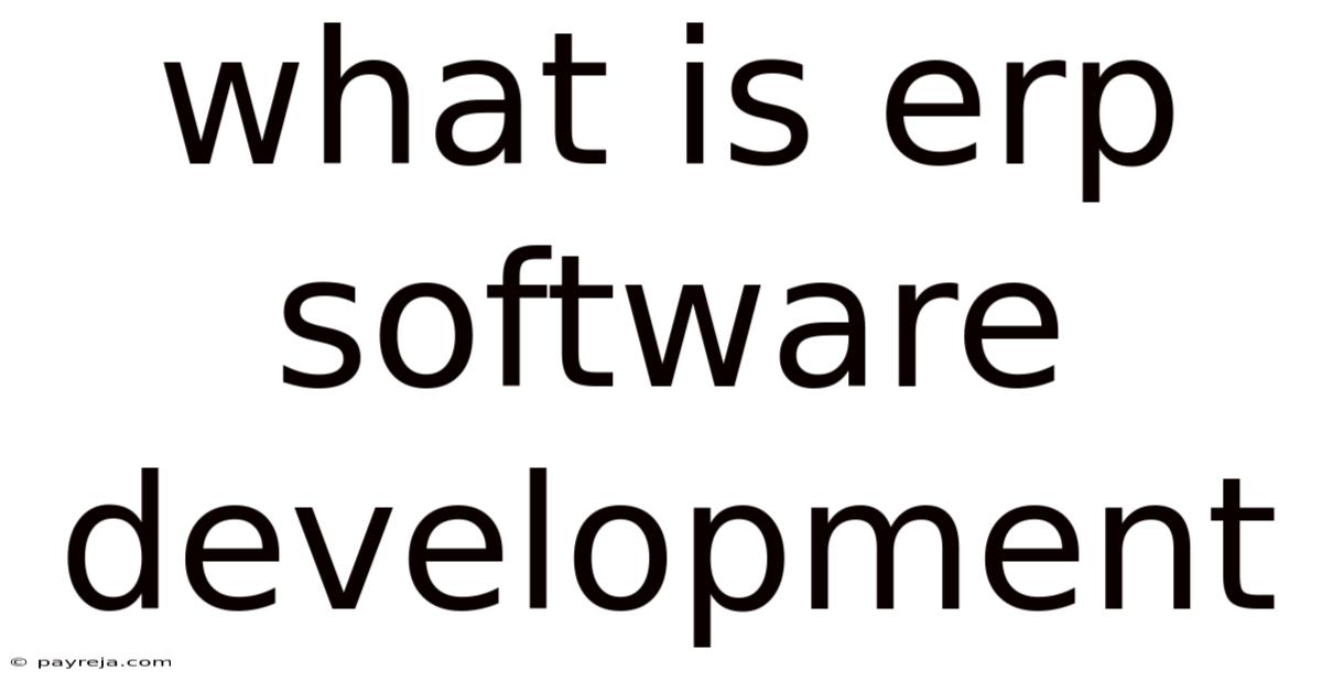 What Is Erp Software Development What Is Erp Software Development