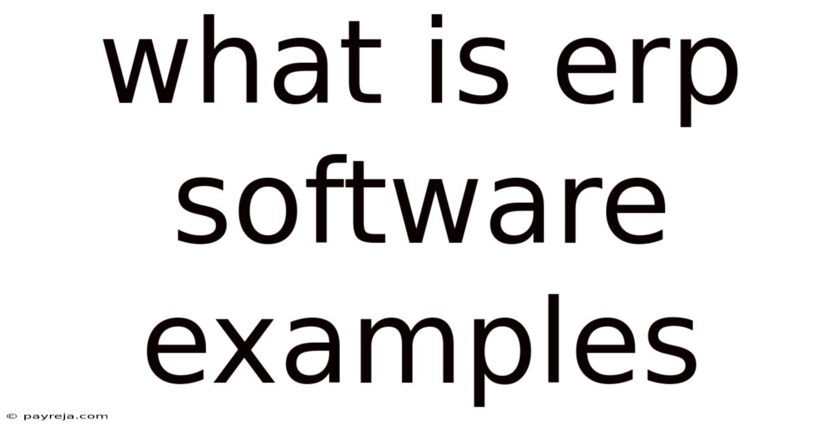 What Is Erp Software Examples What Is Erp Software Examples